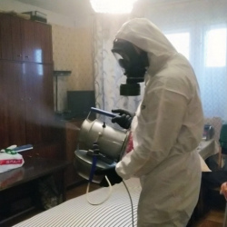 Дезинфекция от клопов в Синявино