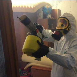 Уничтожение клопов в квартире. Синявино